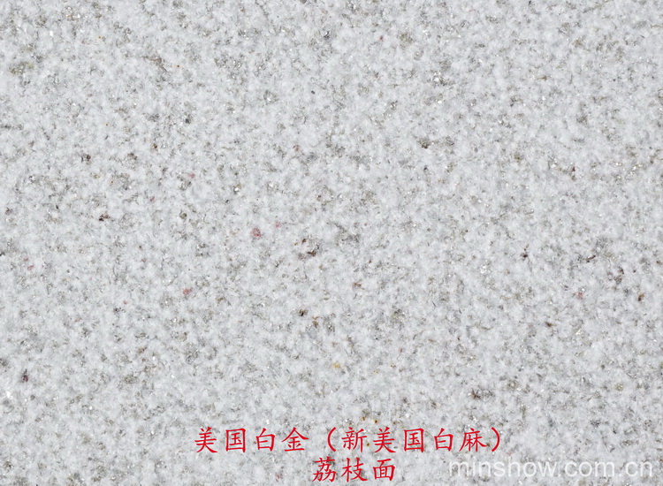 ����(gu��)�׽�  ��֦�棨������(gu��)���飩